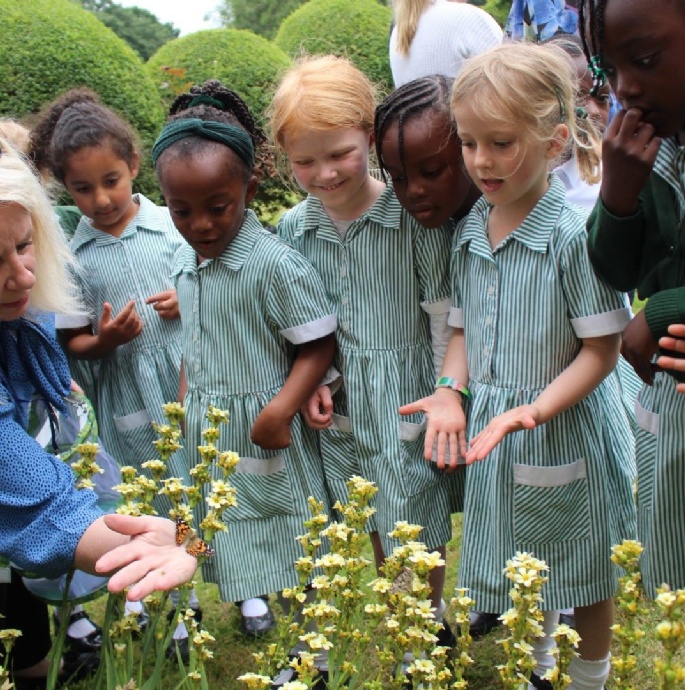 News » Reception Enjoyed Exploring Butterflies